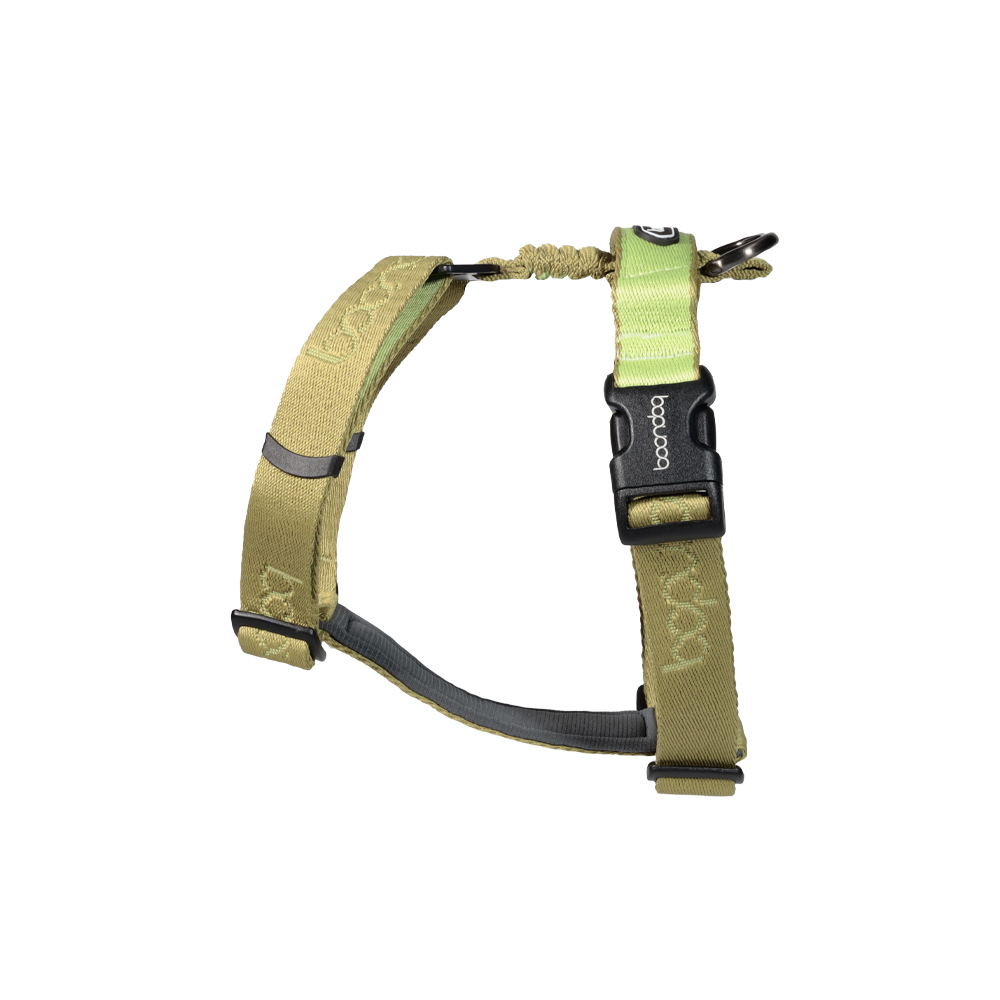 플레이하네스_키위2