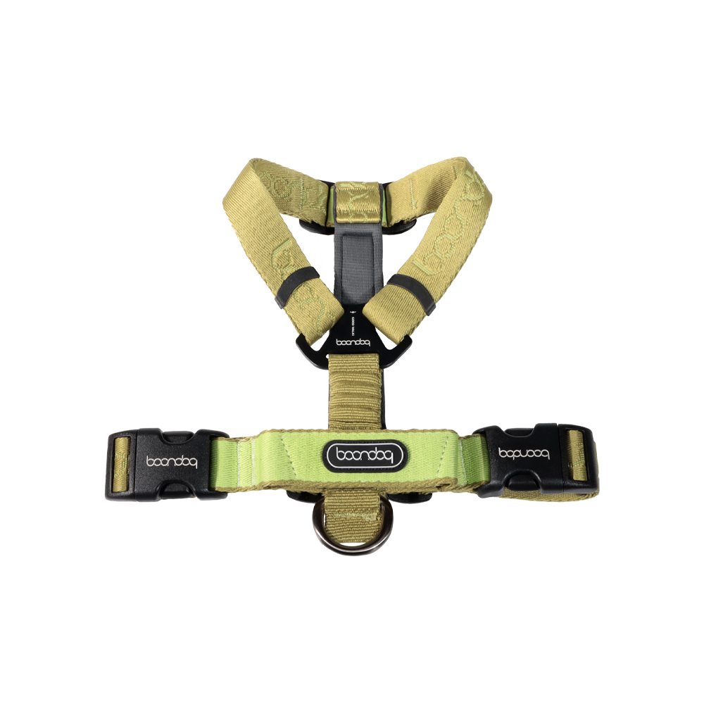 플레이하네스_키위3