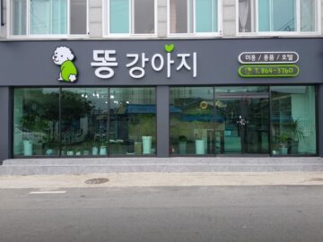 똥강아지<br /><b>전라남도 장흥군 장흥읍 의향길 9</b>