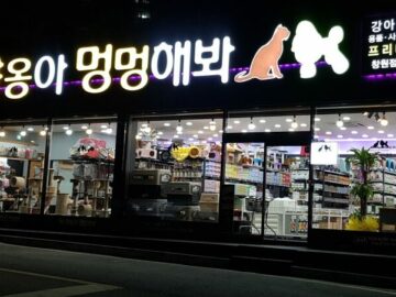 야옹아멍멍해봐 창원점<br /><b>경상남도 창원시 의창구 의창대로139번길 3(동정동)</b>